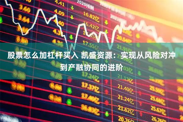 股票怎么加杠杆买入 凯盛资源：实现从风险对冲到产融协同的进阶