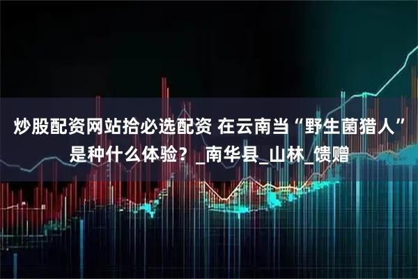 炒股配资网站拾必选配资 在云南当“野生菌猎人”是种什么体验？_南华县_山林_馈赠